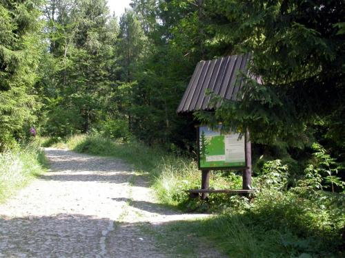sciezki edukacujne gorce