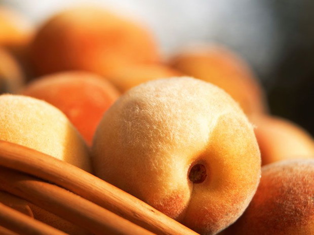 imgduJNhx-4f5634d
