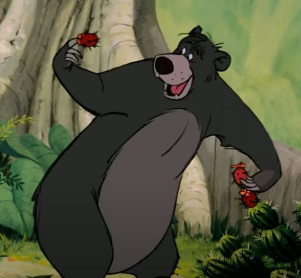 Miś Baloo