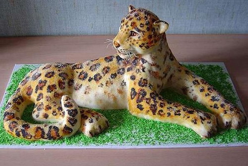 Tort gepard