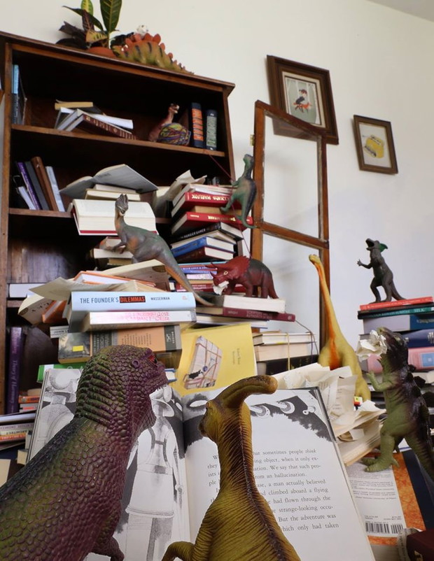 Dinozaury i książki