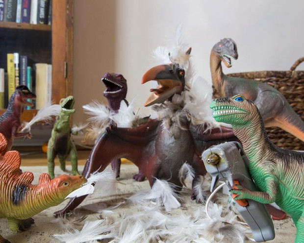 Dinozaury i pióra