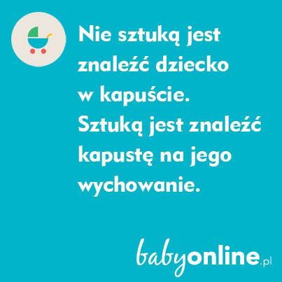 imghZV1Bl-9c13eeb