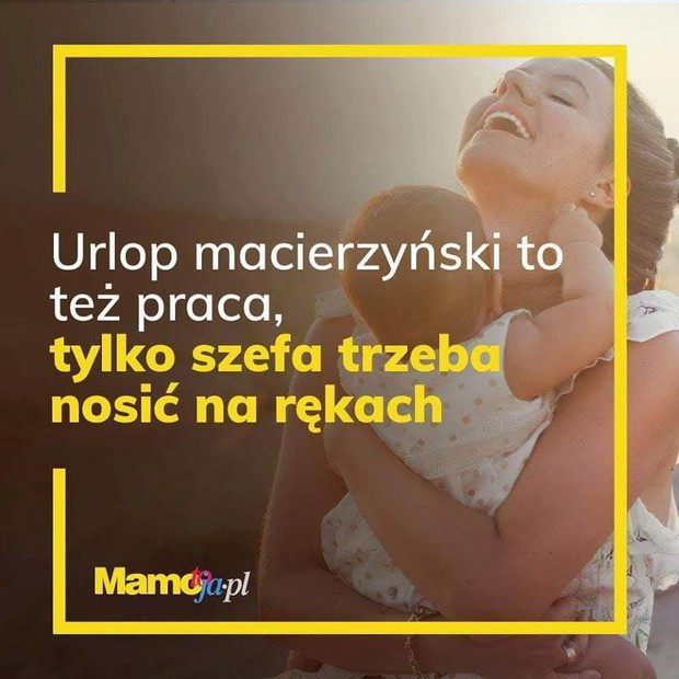 111671-cd9c0c1
