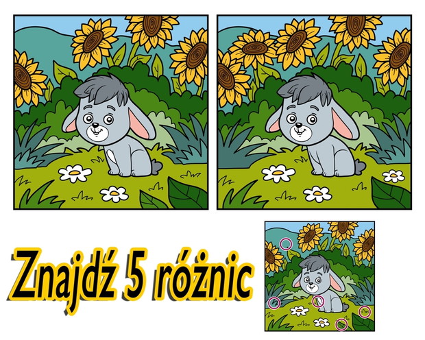 imgac5NX7-a22e6de