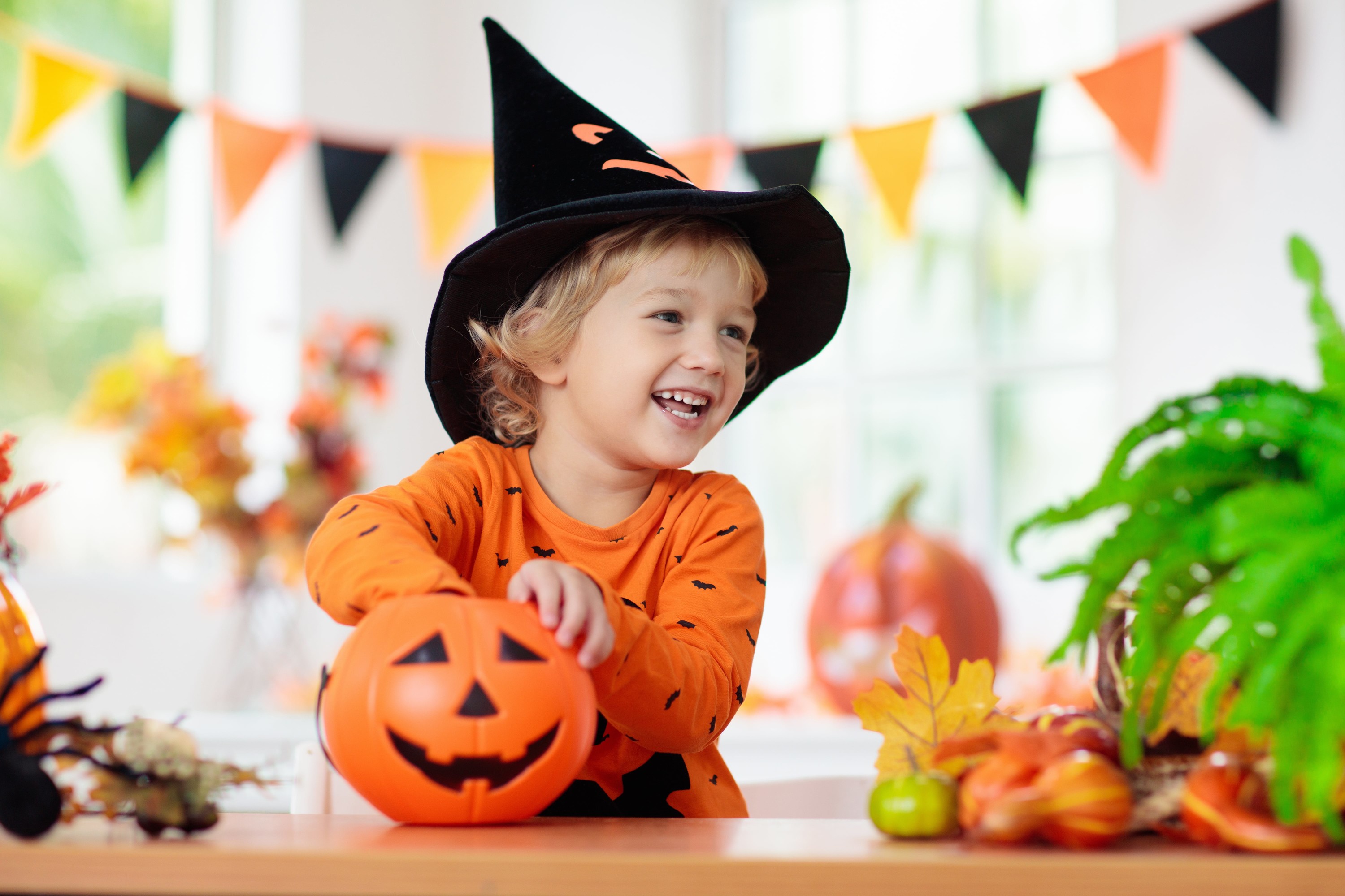AdobeStock_376656149-min