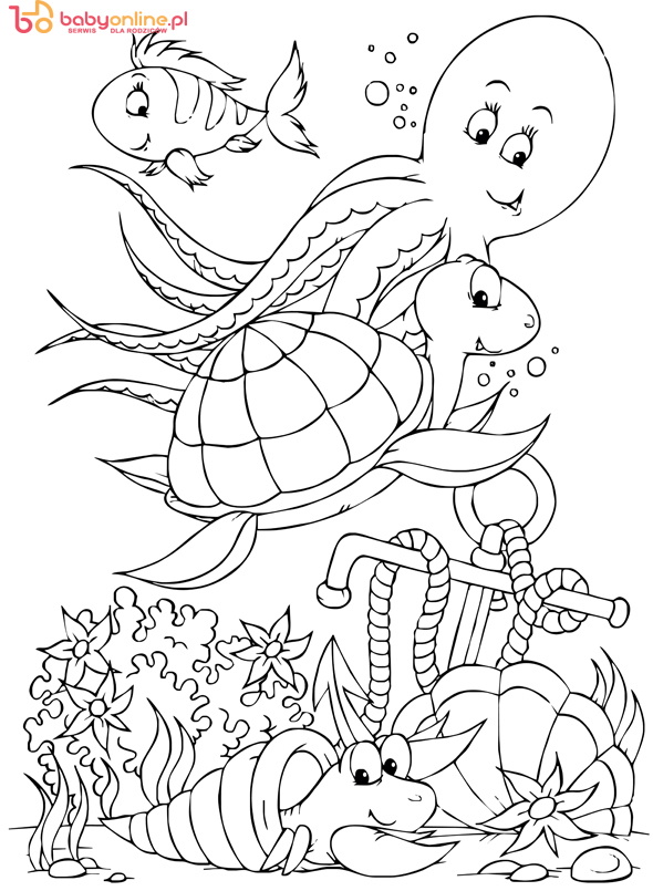 Octopus, turtle, fish and hermit crab