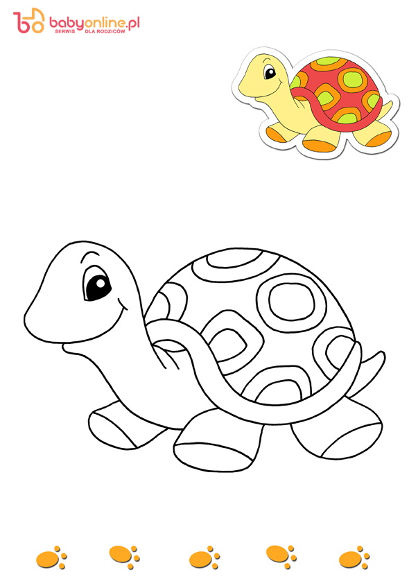 animali da colorare, tartaruga