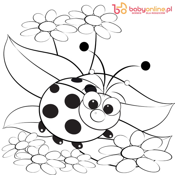 Coloring page - Ladybug and daisy