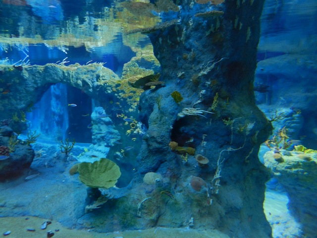 Afrykarium we Wrocławiu