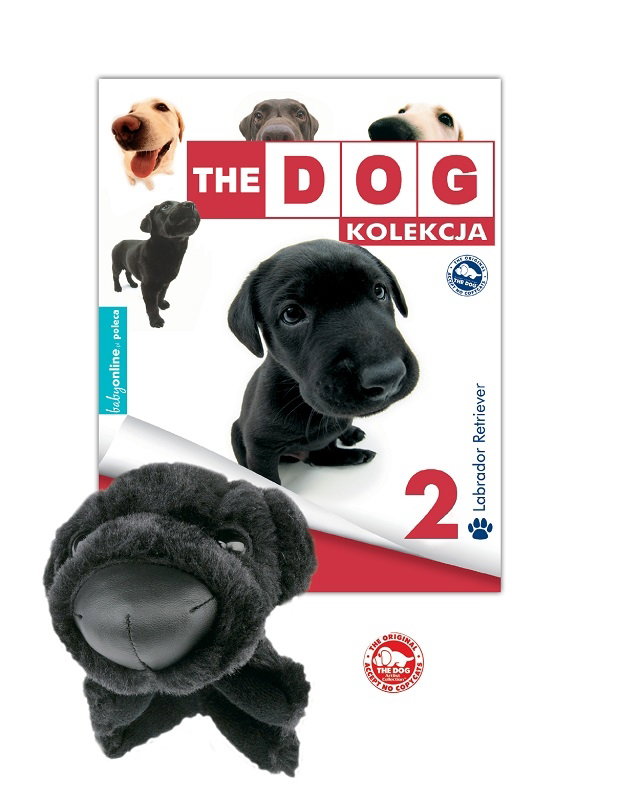 the dog 2