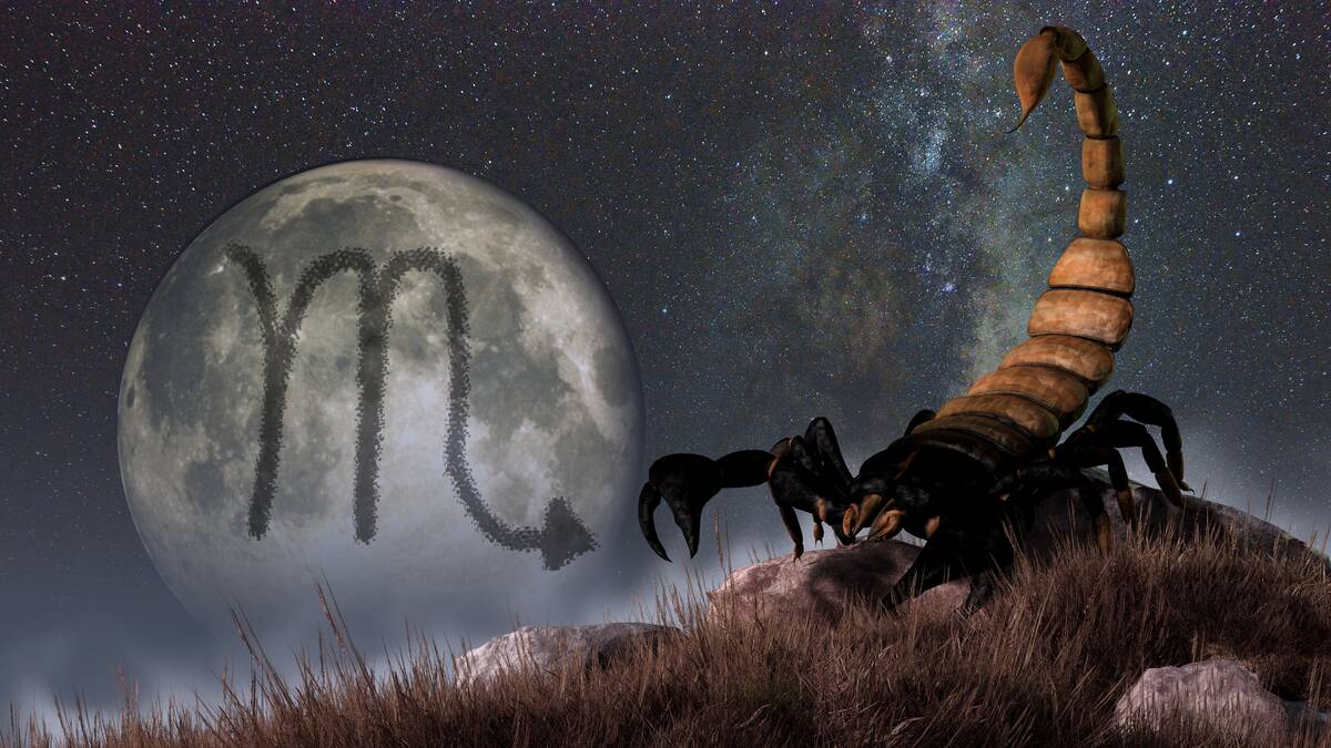 jaki znak zodiaku pasuje do skorpiona