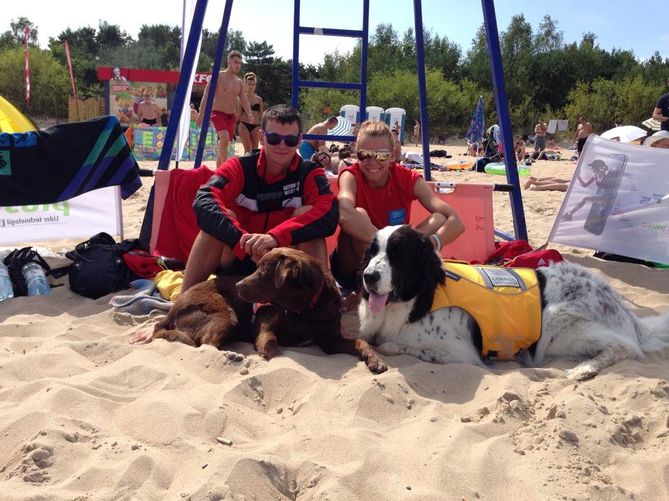 psy na plaży