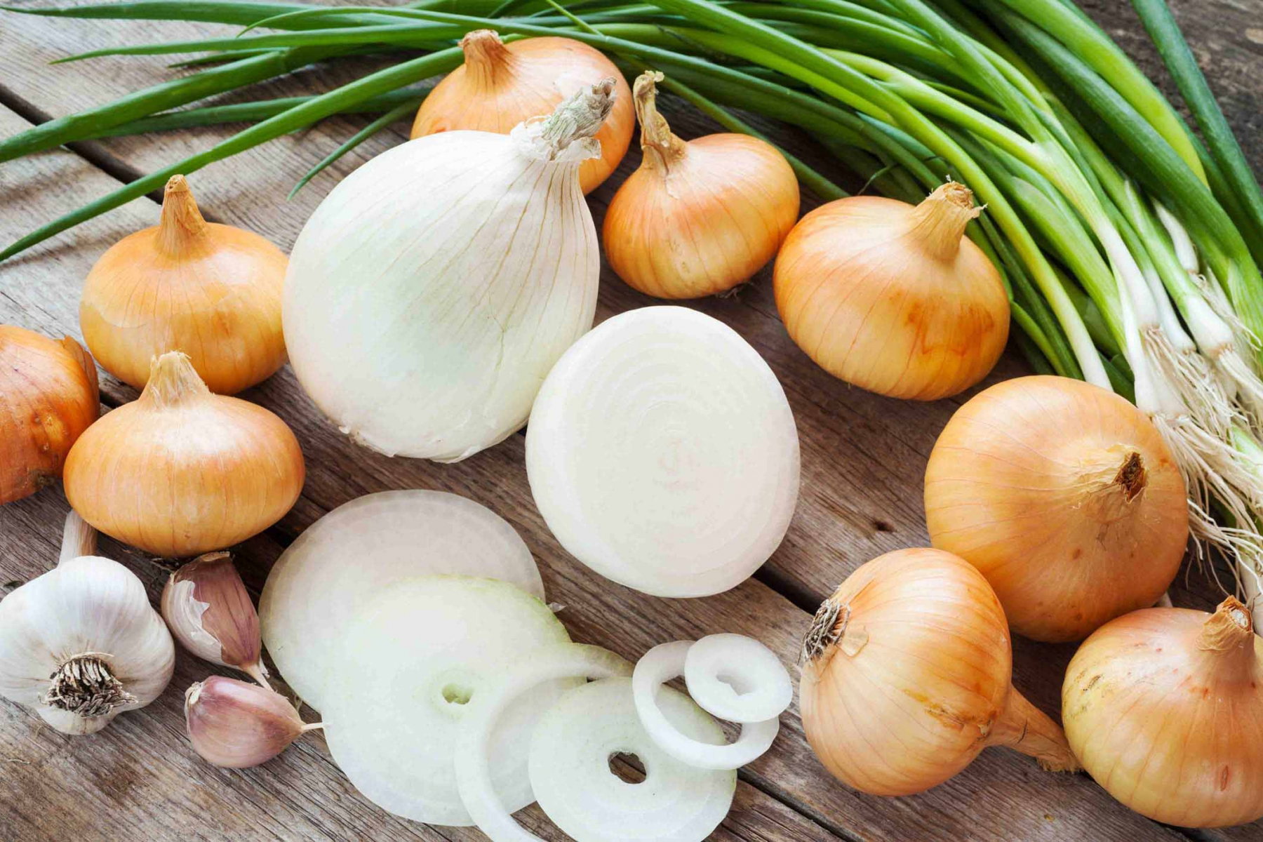 Cebula