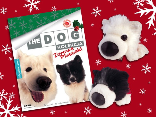 the dog