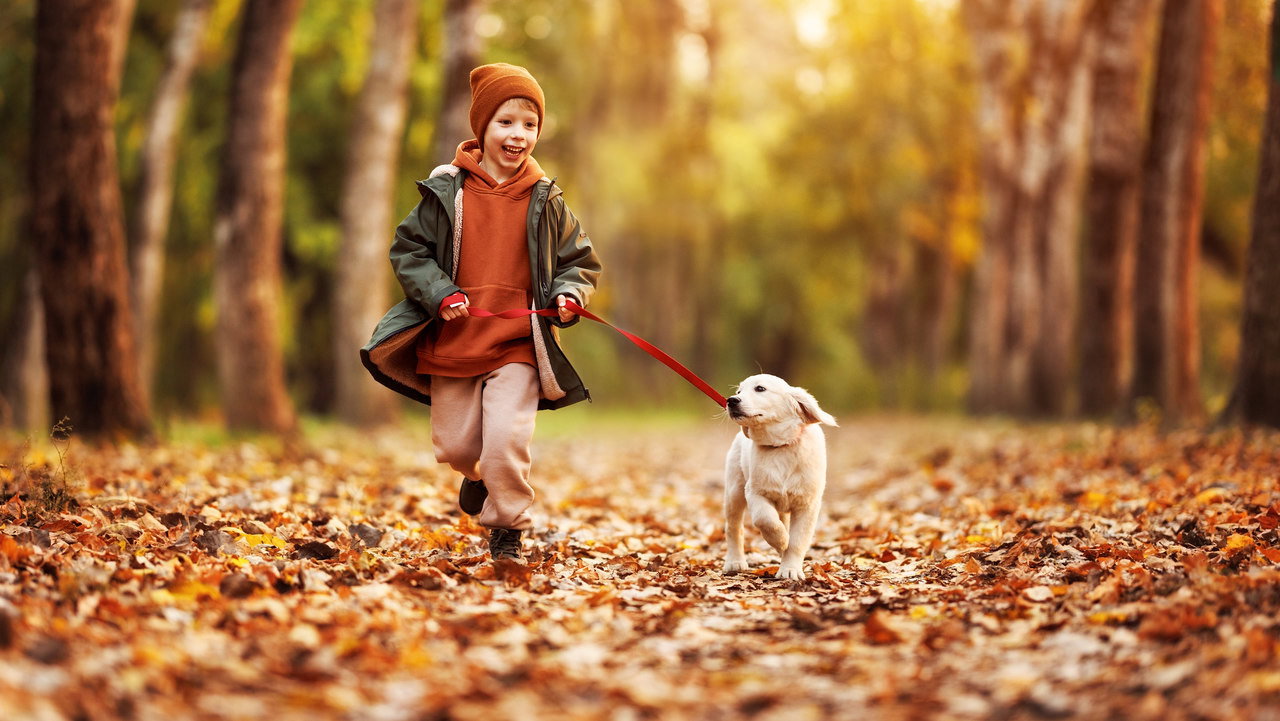AdobeStock_469808757_Easy-Resize