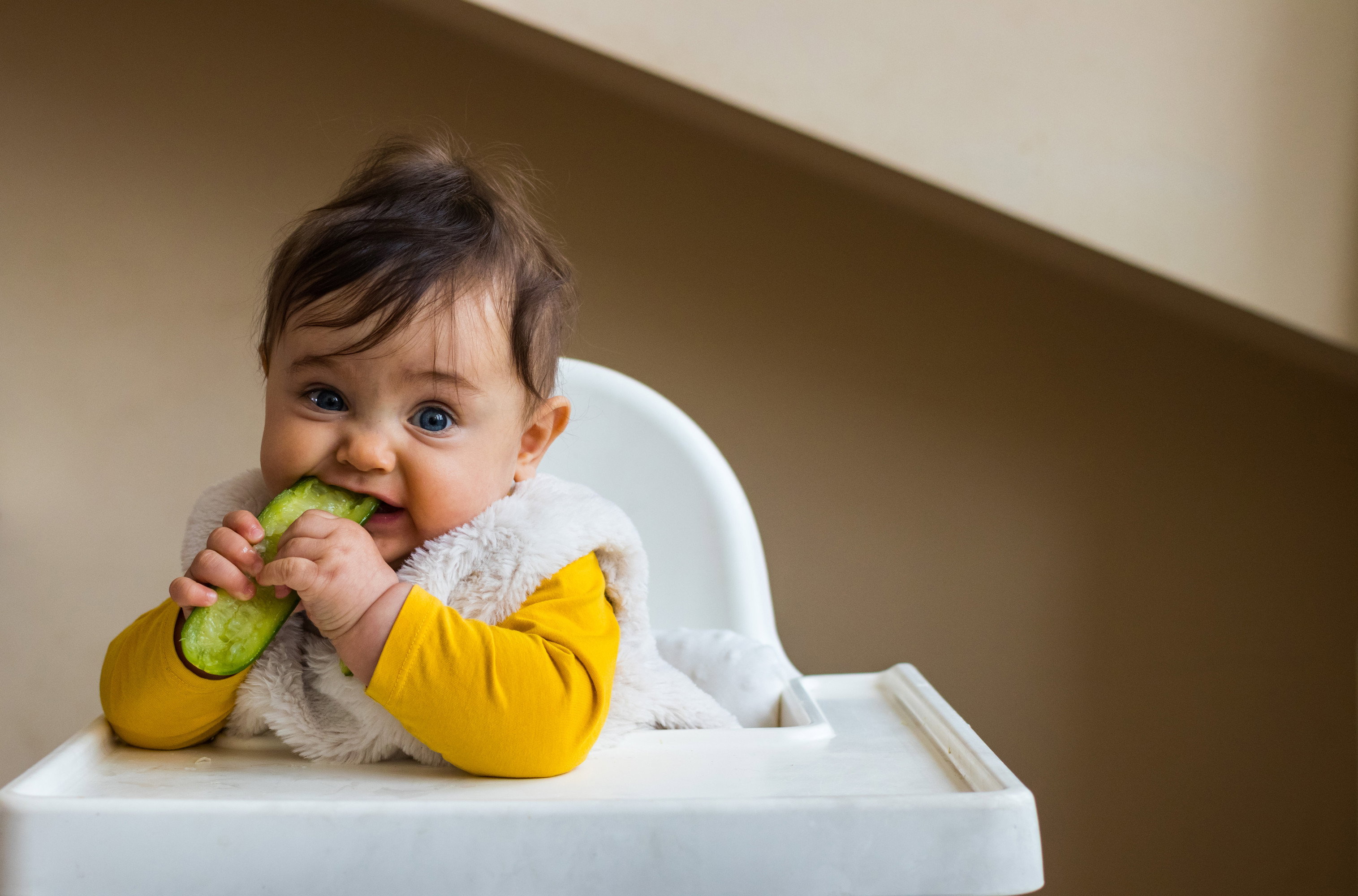 AdobeStock_335069953