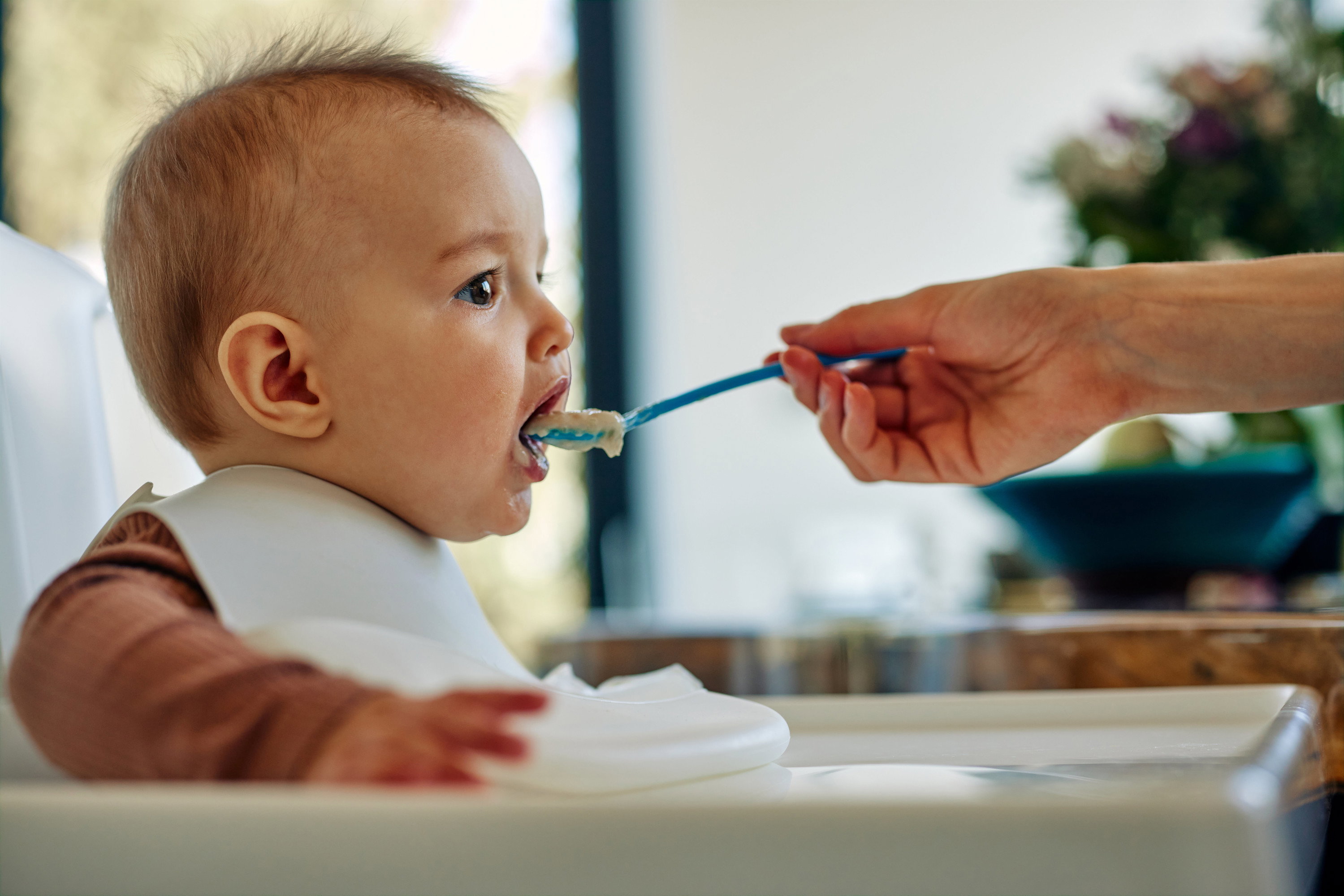AdobeStock_492781787 (1)