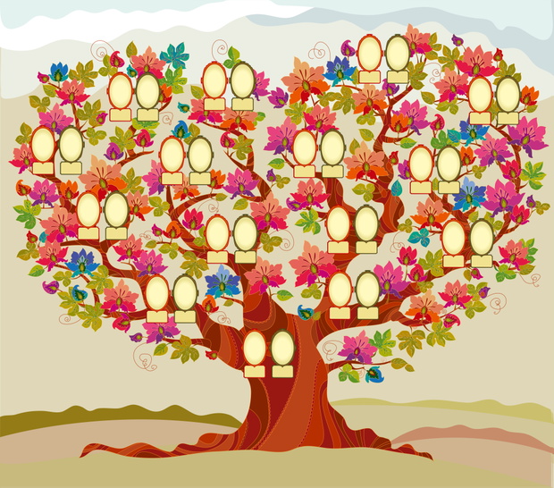 family tree vector illustration