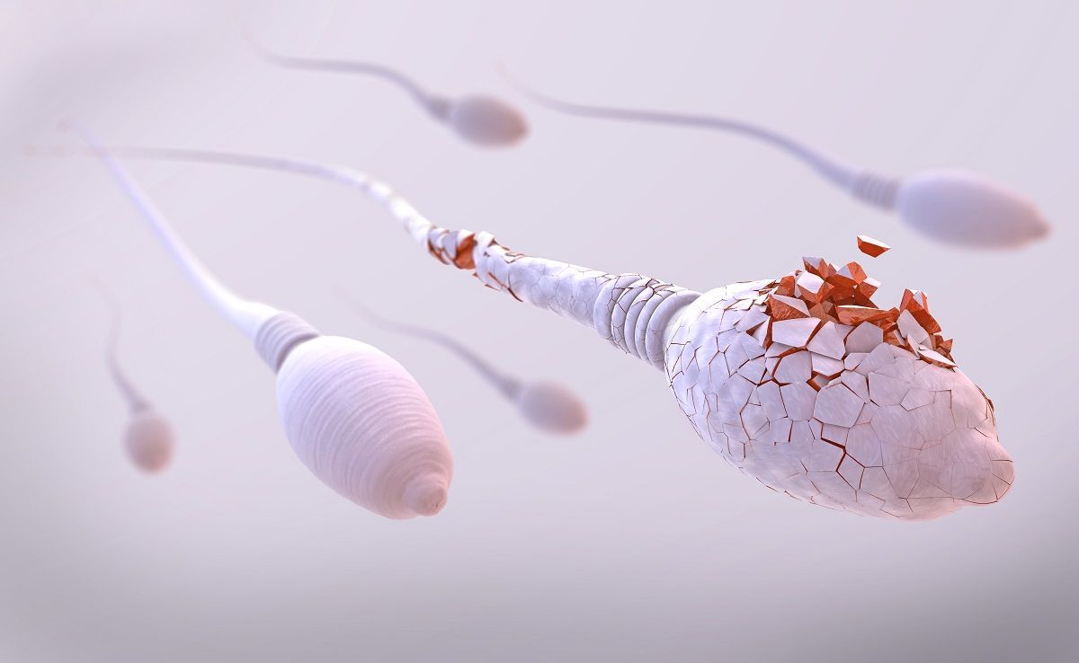 teratozoospermia