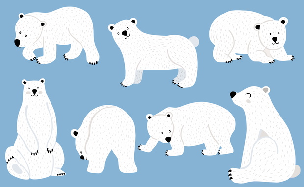 Simple white bear character.Use for invitation,printable,sticker.Vector illustration character doodle cartoon