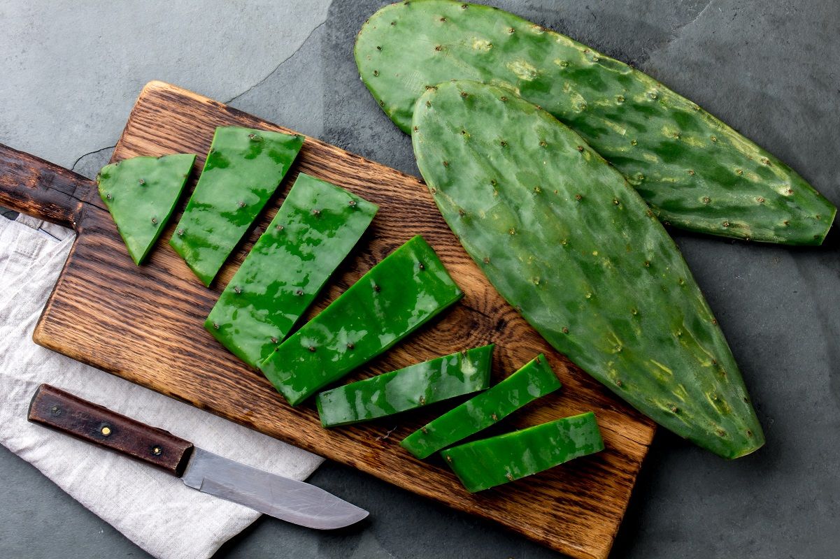 Nopal (opuncja figowa)