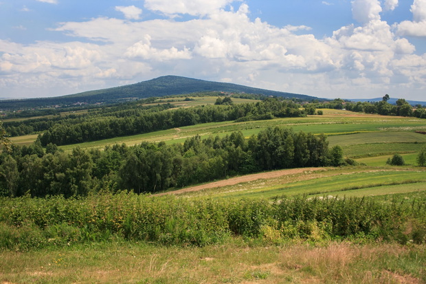111844-148d7d6