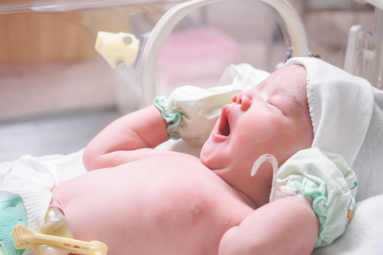 Pampers Wcześniak