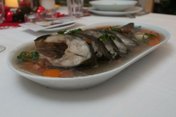Karp w galarecie