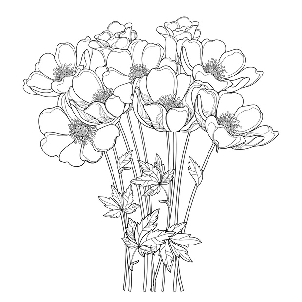 6g7NtU-116077-640fe5c