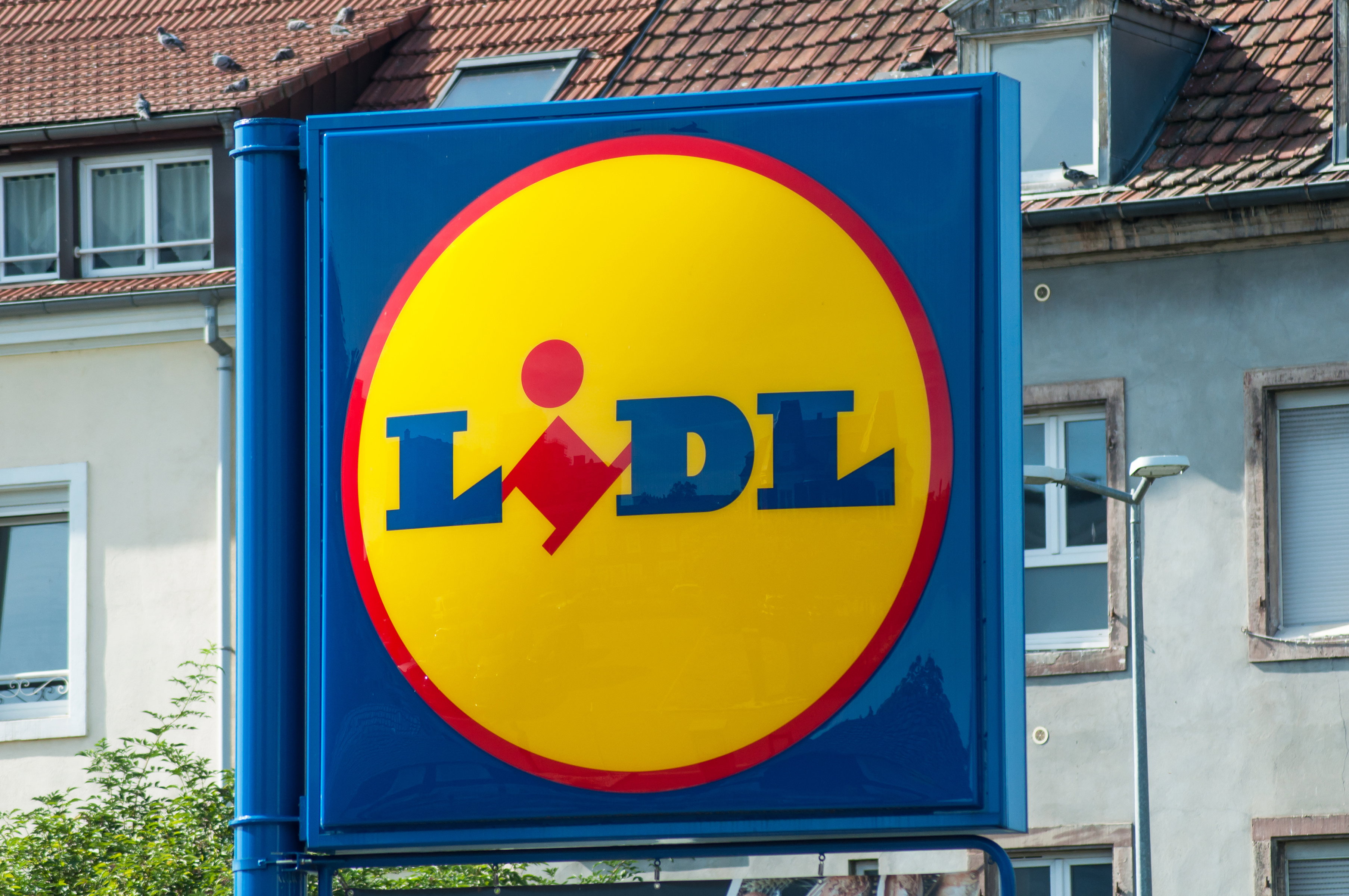 Lidl promocje