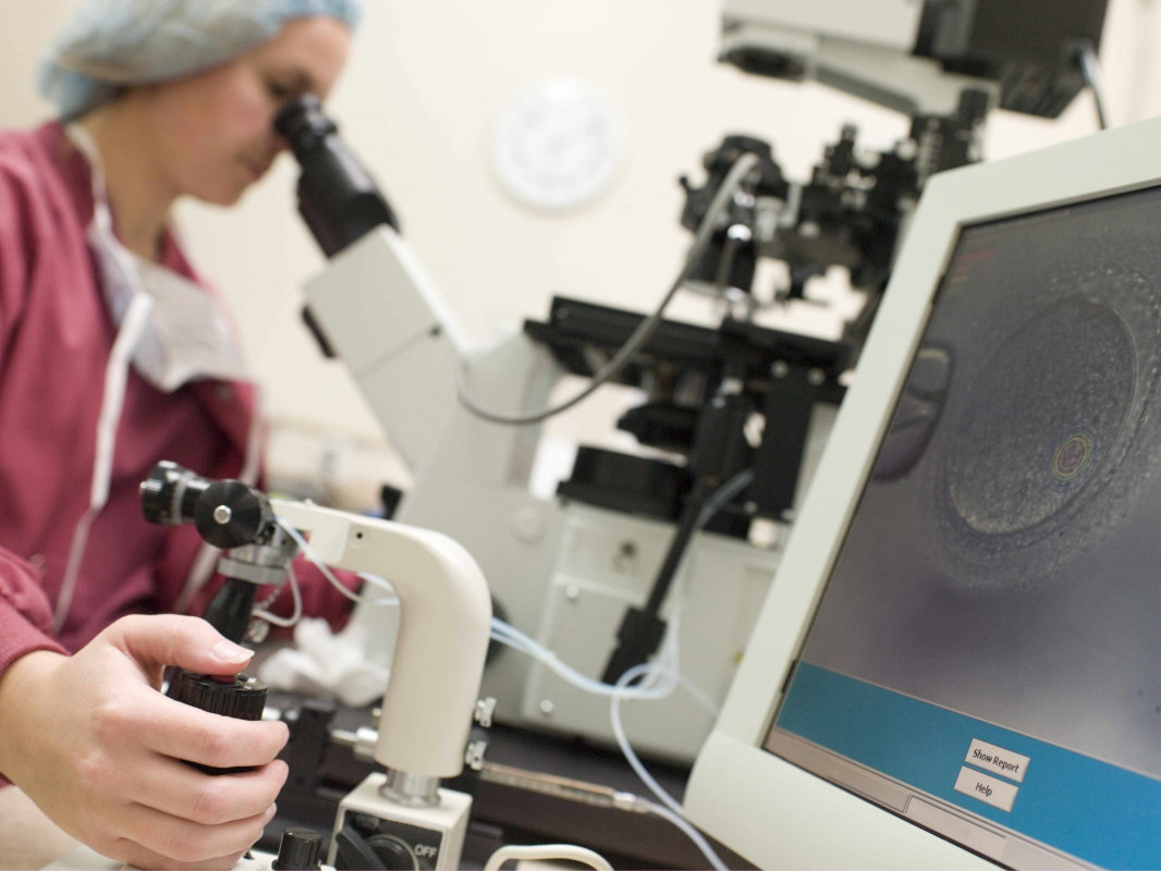 in vitro, zapłodnienie, sztuczne zapłodnienie