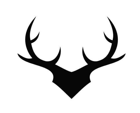 TxHvRe-121692-ca54bac