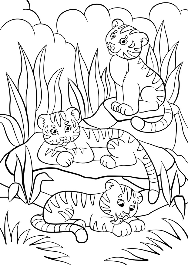 Coloring pages. Wild animals. Three little cute baby tigers.