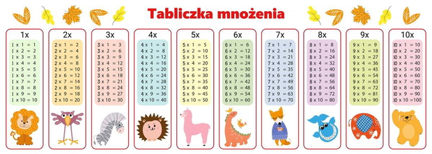 NuBDE6-122080-479411f