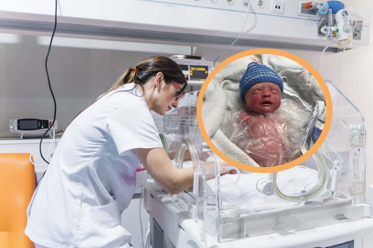 wcześniak w torebce plastikowej