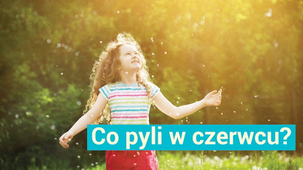 co pyli w czerwcu