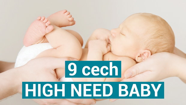 jakie sa cechy High Need Baby