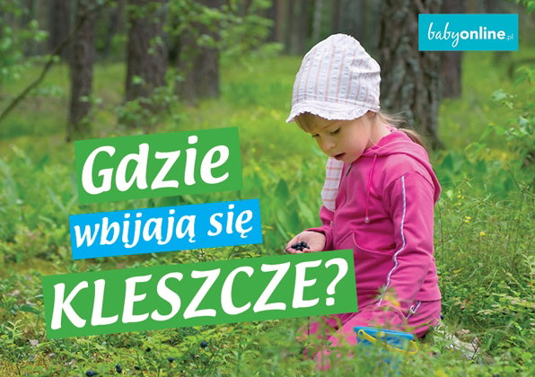 Gdzie wbijają się kleszcze – u dzieci i dorosłych