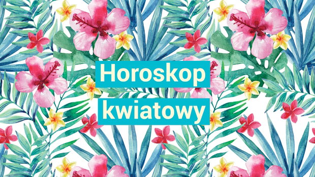 horoskop kwiatowy