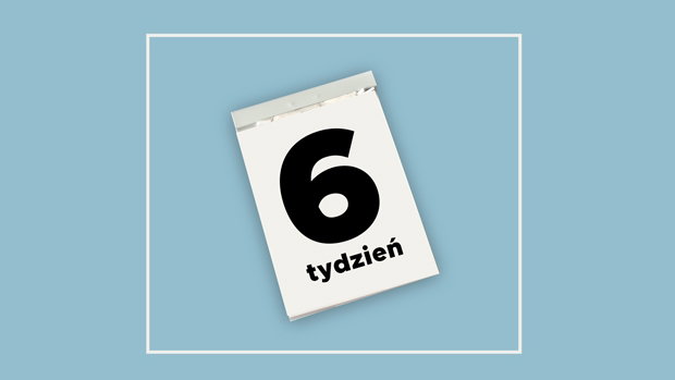 co się dzieje w 6. tygodniu ciąży?