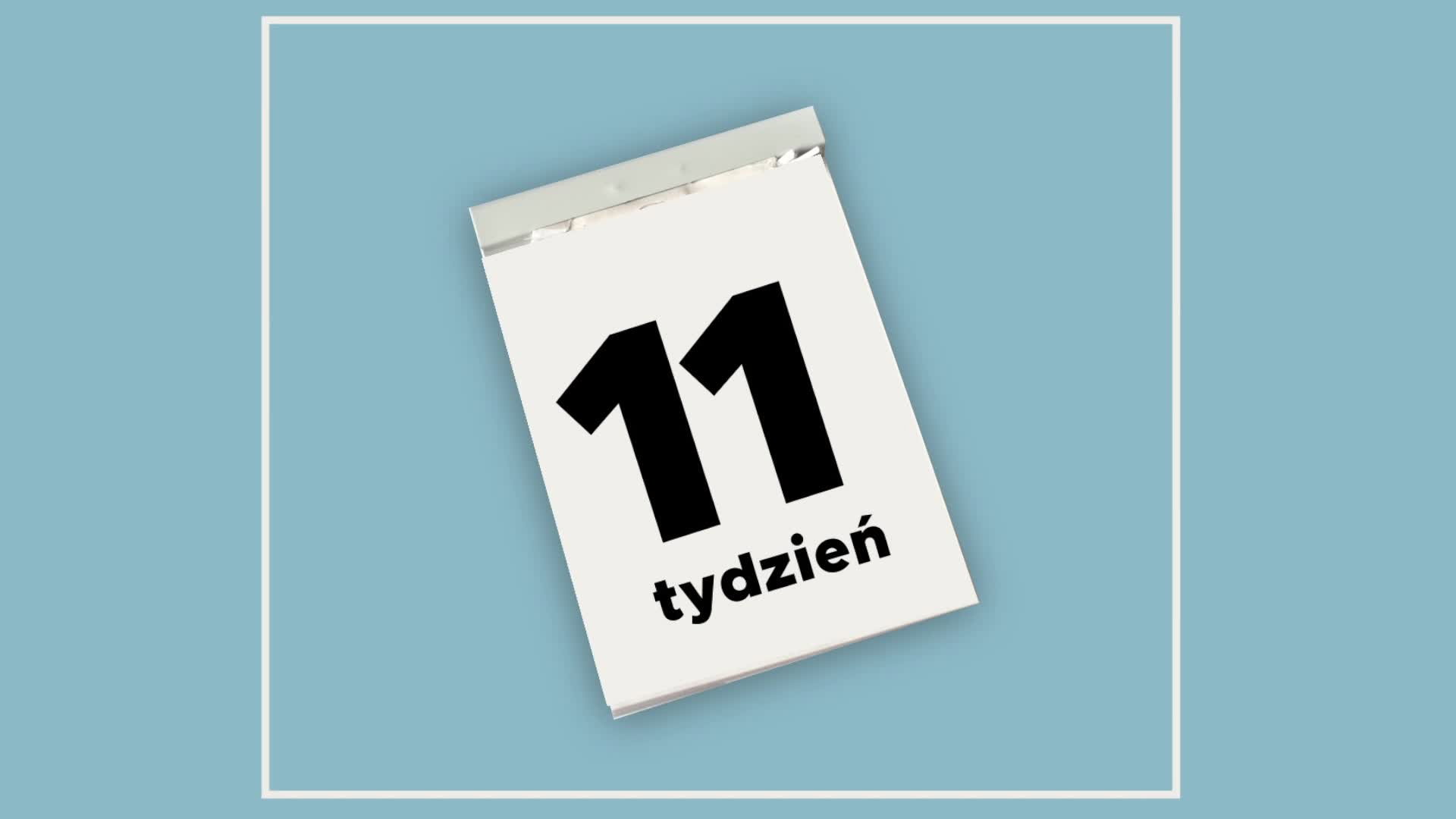 11 tydzień ciąży – co się dzieje u dziecka i u ciebie: WIDEO