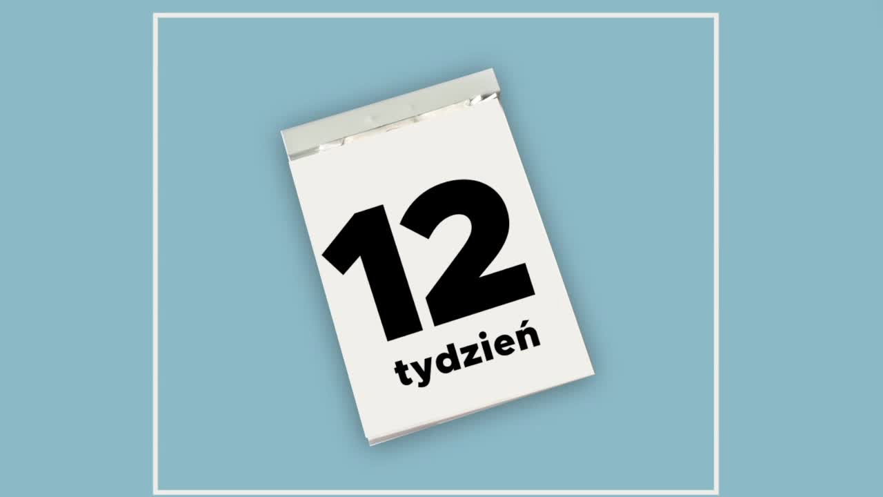12 tydzień ciąży – co czuje mama i jak się rozwija dziecko [WIDEO]