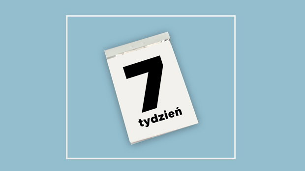 co się dzieje w 7. tygodniu ciąży?