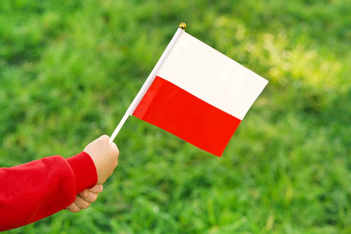 dzień flagi