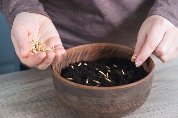 QCXZyI-123661-8a8496b