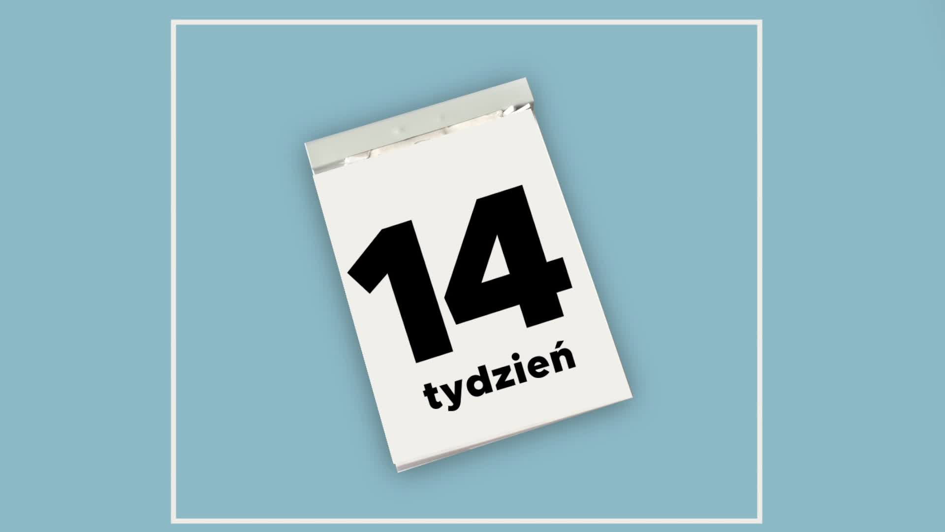 14 tydzień ciąży – co się dzieje u dziecka i u ciebie: WIDEO