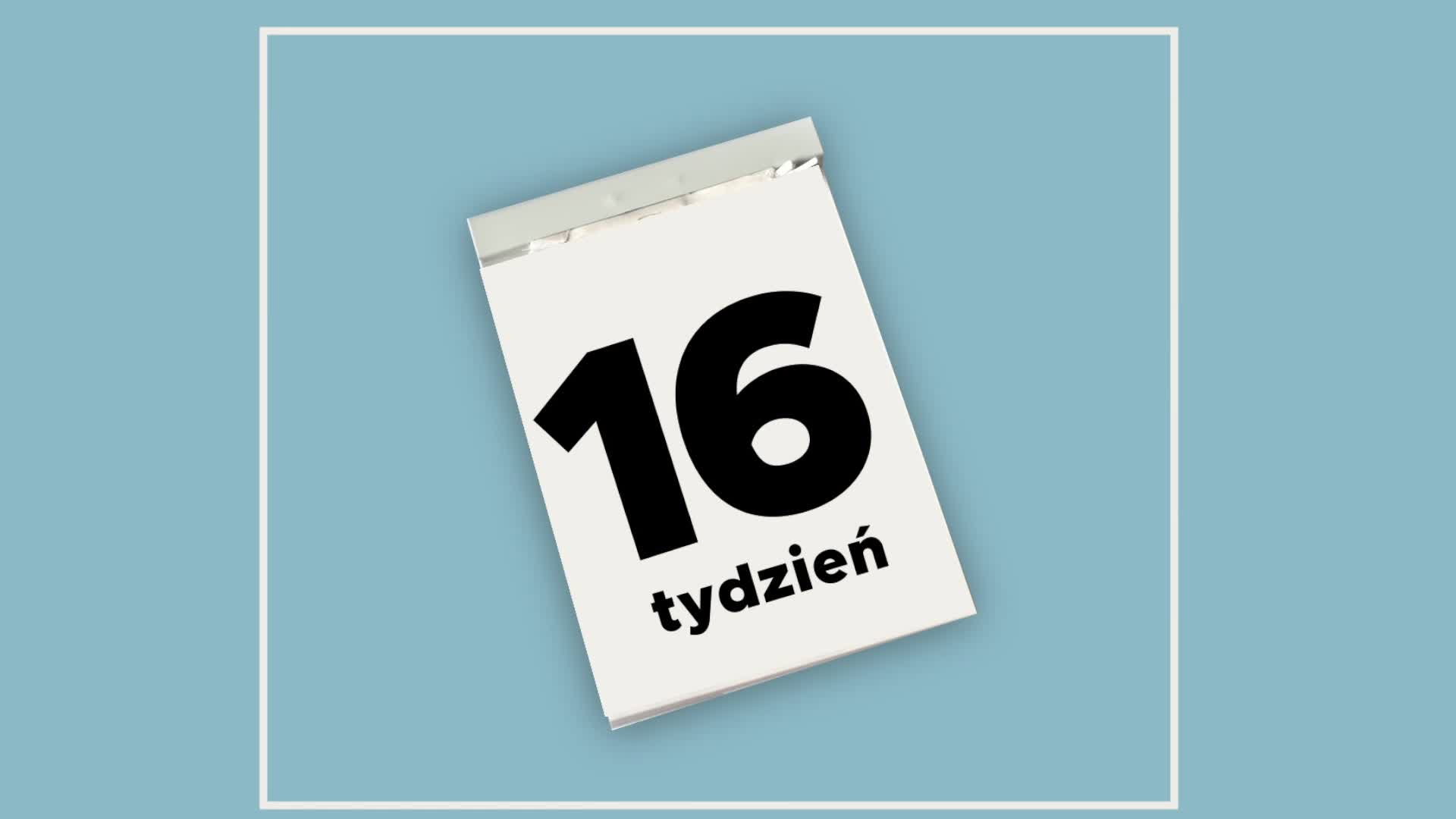 16. tydzień ciąży - kalendarz ciąży