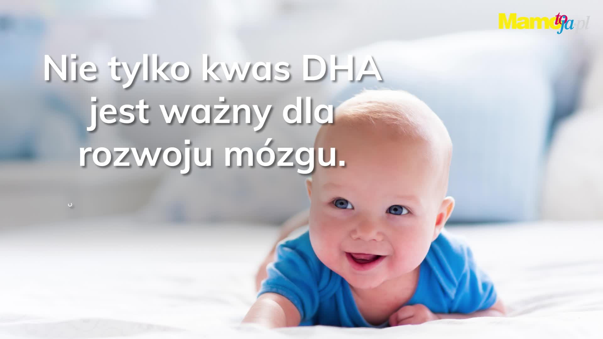 Nie tylko kwas DHA jest ważny dla rozwoju mózgu. Co jeszcze?