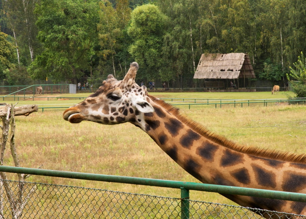 Zoo Gdansk Oliwa in Gdansk. Poland